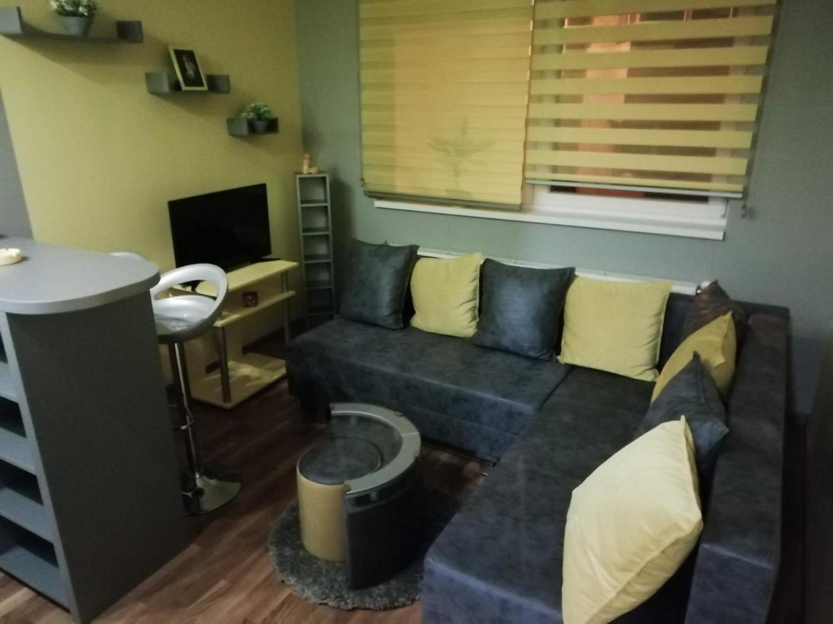 Appartement Elena Lux à Užice Extérieur photo