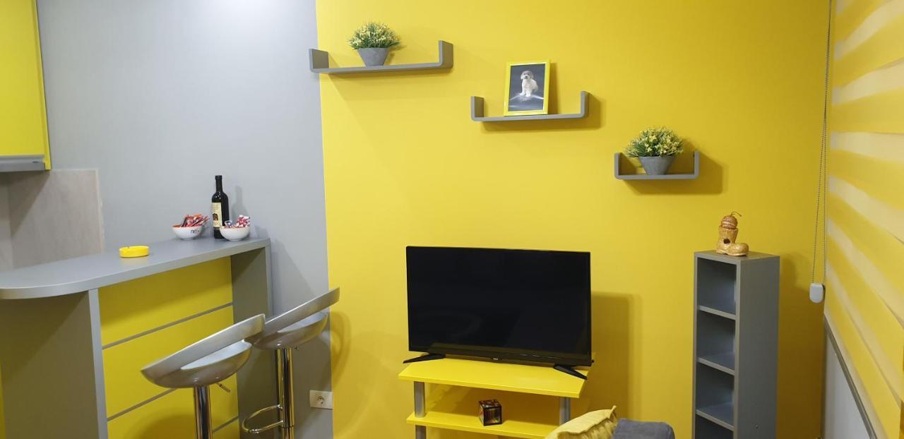 Appartement Elena Lux à Užice Extérieur photo