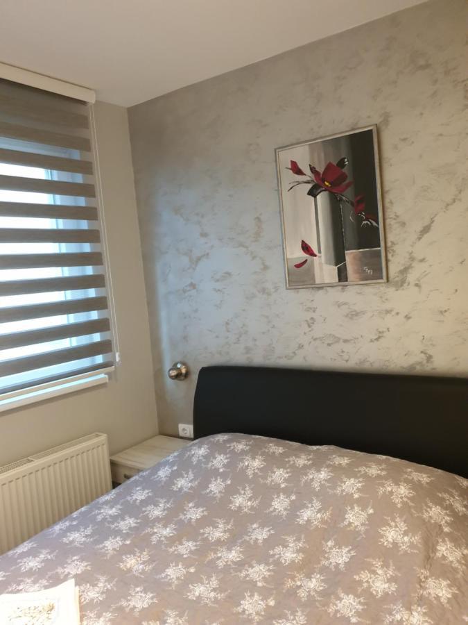 Appartement Elena Lux à Užice Extérieur photo